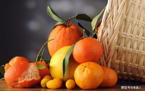 寒冬逆袭 电商助农如何为柑橘打开销路？